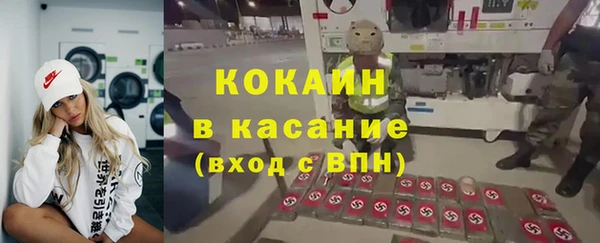 сатива Армянск