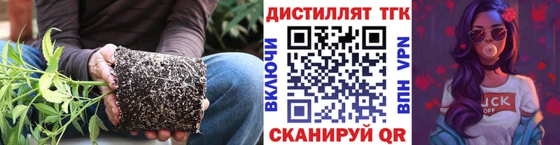 хочу наркоту  Электрогорск  ТГК THC oil 