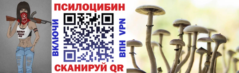 Псилоцибиновые грибы Psilocybe  купить наркотики сайты  Электрогорск 